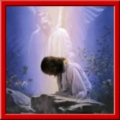 Firefighter Jeffery Alan Blackmer