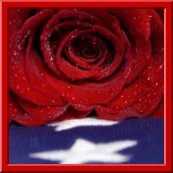 Firefighter Lee Kraus